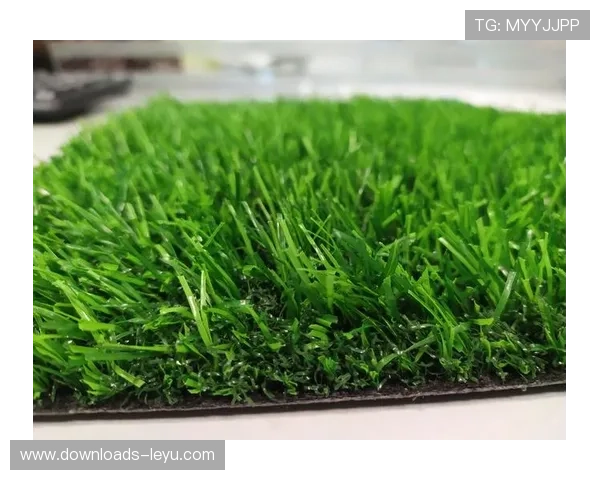 法甲草地维护技术：天然草与混合草选择