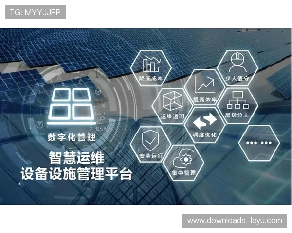 智慧体育平台接入城市治理系统，公共资源利用效率优化